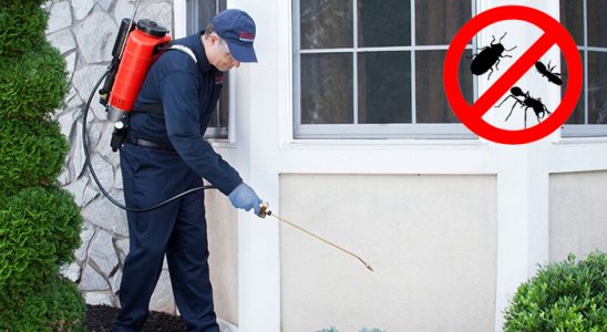 Avcılar Karınca İlaçlama böcek ilaçlama ve haşere kontrolü — ilaclama-tr.com